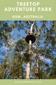 5 Things Your Family Will Love About Treetop Adventures New South Wales Australia Oceania Travel Australia Travel Beautiful Places New South Wales