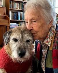 Senior dog needs a loving home