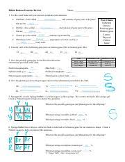 Navigation spongebob genetics worksheet answer key spongebob genotype worksheet answers | akademiexcel.com 22 Genetics Review 1 Bikini Bottom Genetics Review Name 1 Use The Word Bank And Your Notes To Complete Each Statement Purebred Also Called And Course Hero