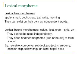 In this way, it becomes the base to which other grammatical class morphemes can be added. Ppt Morphology Powerpoint Presentation Free Download Id 1746320
