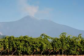 Etna's eruptions have been documented since 1500 bc, when phreatomagmatic eruptions drove people living in the eastern part of the island to migrate to its western end. On Top Of Mount Etna A Lesson In Lava And Luck The New York Times
