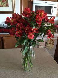 I shop at stater brothers because of the prices. If You Re On A Budget But Love Fresh Flowers Visit Stater Brothers And Walmart They Ve Four Dollar Flowers Fresh Flowers Table Decorations Sweet Home