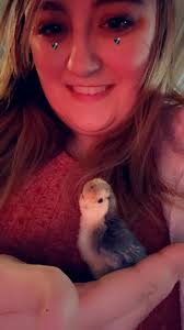 How big are yalls coops and how many chickens do yall have?