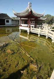 Being in kissimmee, splendid china in 34747 serves many nearby neighborhoods including places like liberty park, magic landings, and kissimmee bay. Pictures Orlando Attractions That Have Closed Through The Years Orlando Sentinel