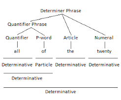 We use determiners to identify things (this book, my sister) and we use quantifiers to say how much or how many (a few people, a lot of problems). Grammatical Forms Of English Determiner Phrases Parenting Patch