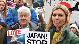 The stealth affair, described by pa media as a secret wedding, was reportedly held in front of. Carrie Johnson Who Is The Prime Minister S Wife Bbc News
