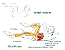 Crisscross Exercise Abdominal Exercises For Core Stabilization Part 7 The Health Science Journal Abdominal Exercises Core Workout Yoga Anatomy