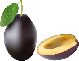 download plum png png image with no background pngkey com download plum png png image with no background pngkey com
