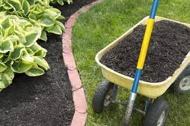How To Plant Grass Seed In An Existing Lawn Hunker Planting Grass Growing Grass From Seed Reseeding Lawn