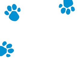 Salt making changes, blues clues paw print, game, text png. Blue Pawprint Background By Josiahokeefe On Deviantart