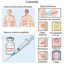 Vacuna Contra La Culebrilla Care Guide Information En Espanol