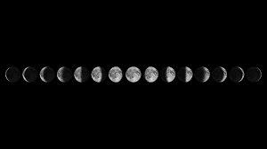 They each took turns at labelling the phases of the moon. Phases And Full Moon Names B H Explora