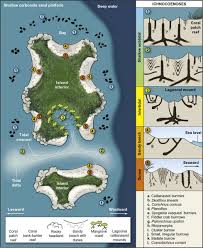 We did not find results for: Shallow Marine Carbonates Sciencedirect