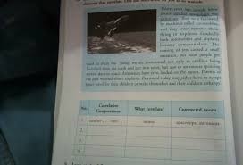 Berikut contoh kalimat yang menggunakan correlative conjunction between….and: List The Correlative Conjunctions In The Following Paragraph And Write Elements That Correlate One Brainly Co Id