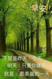 pin by luan lee on 早安美丽人生路风景 good morning greetings morning greetings quotes morning images