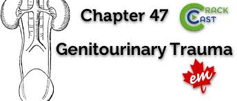 Image result for Genitourinary Trauma