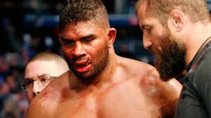 With barley to rival the best in the world and water recognised as the cleanest, overeem whisky is made of the finest ingredients tasmania has to offer. Overeem Loses Ufc Fight With Rose Bush In Final Seconds Teller Report