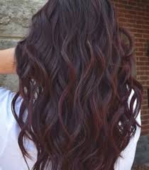 Blackberry Hair Is The New Moody Purple Hair Trend In 2020 Wine Hair Color Wine Hair Hair Color Trends