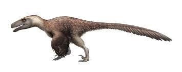 Utahraptor is the oldest known, and largest, of the dromaeosaurids. Utahraptor Dinopedia Fandom