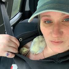 Animal shelters and rescues that accept old bedding donations?