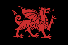 This makes it suitable for many types of projects. Welsh Flag But The Background Is Black Vexillology