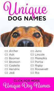 Pin On Dog Names