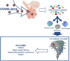 I was born on june 27, 1880, in tuscumbia, a little town of northern alabama. Frontiers Cytokine Storm In Covid 19 When You Come Out Of The Storm You Won T Be The Same Person Who Walked In Immunology