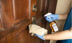 6 Easy Ways To Clean Brass Door Knobs