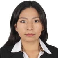 30+ perfiles de «Allison Huamani»
