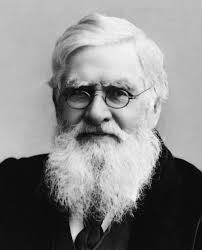 Bulletin of the Royal Entomological Society Autumn 2013 Volume 37 (4)