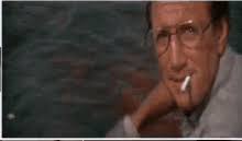 We did not find results for: Jaws You Re Gonna Need A Bigger Boat Gifs Tenor