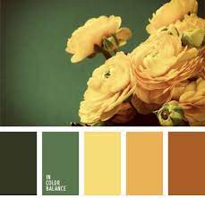 Pin En Paleta De Colores