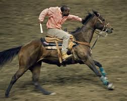 Bildergebnis für Andrea Robbins