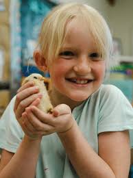 Like a Warrior Newsletter June 2023 by PaperWorx