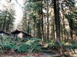 Check spelling or type a new query. Silver Falls Lodge Is Back Open Under New Management Taking Reservations For Summer Oregonlive Com