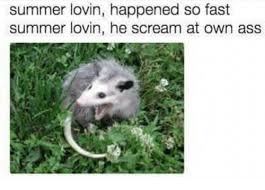 Summer Lovin Happened So Fast Summer Lovin He Scream At Own Ass Scream Meme On Me Me