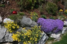 Gartenmauern bieten perfekten sichtschutz, stützen hänge ab und werden trocken aufgeschichtet zu wertvollen biotopen. Gartenmauern Begrunte Wande Akzente Setzen Im Garten Gartenhaus Auflagenboxen Stauraumlosungen Fur Den Garten