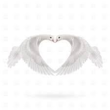 Image result for Wings Of Doves.
