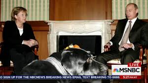 Two japanese journalists grimaced as putin brought his dog yume into the room before an interview. What S It Like Negotiating With Putin