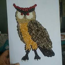 Kolase burung kupu gambar gratis di pixabay. New Kolase Burung Hantu Shopee Indonesia