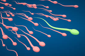 Image result for men infertility