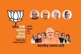 Political party