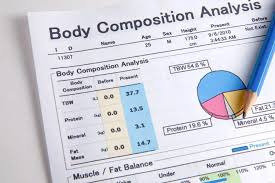 Image result for Body Composition Changes with Aging