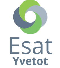 Maybe you would like to learn more about one of these? L Esat Et Ses Valeurs