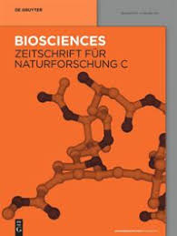 Image result for Sorindeia juglandifolia