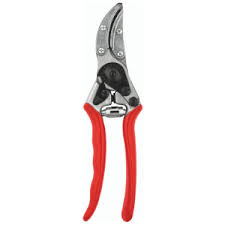 Amazon Com Felco Rose Pruning Shears F 100 High Performance Swiss Made Steel One Hand Garden Pruners Hand Shears Garden Outdoor 900+ vectors, stock photos & psd files. felco rose pruning shears f 100 high performance swiss made steel one hand garden pruners