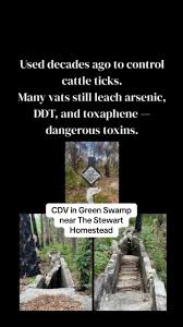 Image result for dip vat