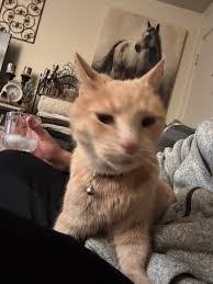 Paula Simonich's Instagram, Twitter & Facebook