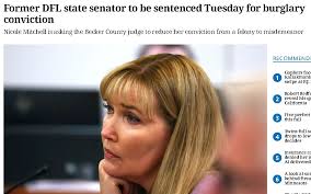 Cat Burglar Puns and Humor