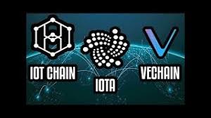 Iot Chain